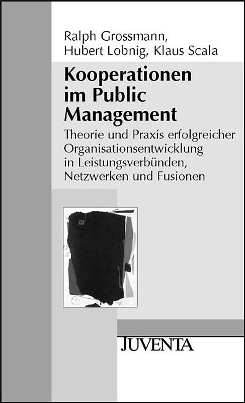 Kooperationen im Public Management
