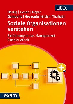 Soziale Organisationen verstehen