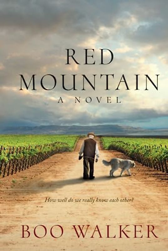 Red Mountain: A Novel (Red Mountain Chronicles, Band 1)