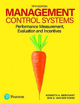 Management Control Systems