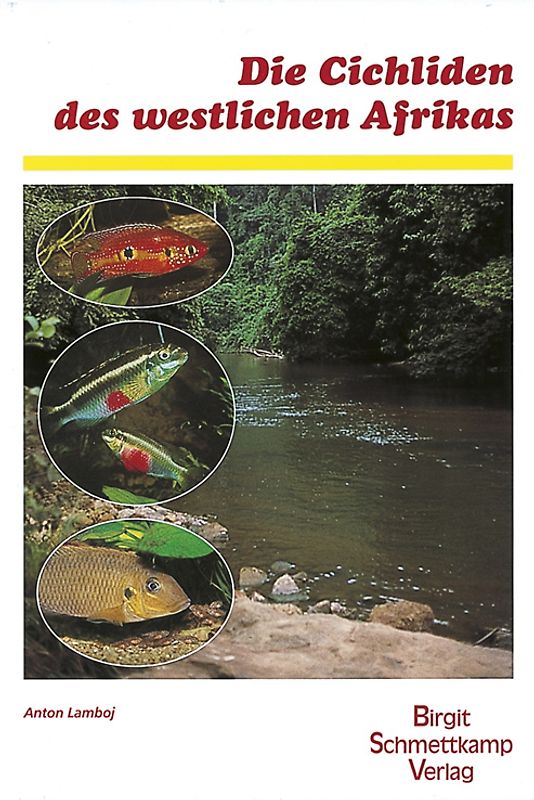Die Cichliden des westlichen Afrikas