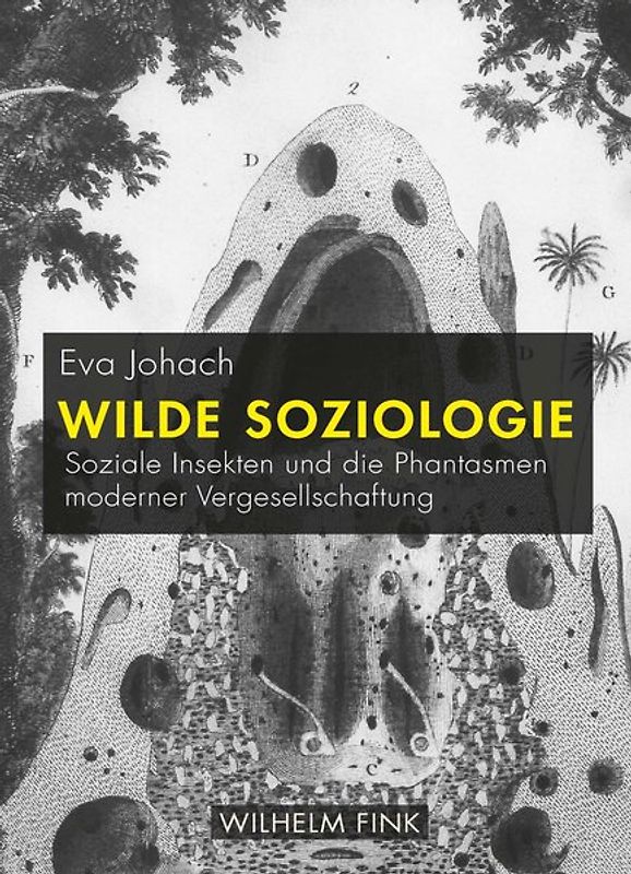 Wilde Soziologie