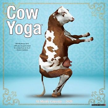 Cow Yoga 2026 12 X 12 Wall Calendar