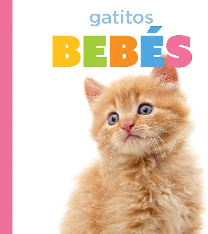 Gatitos Bebés
