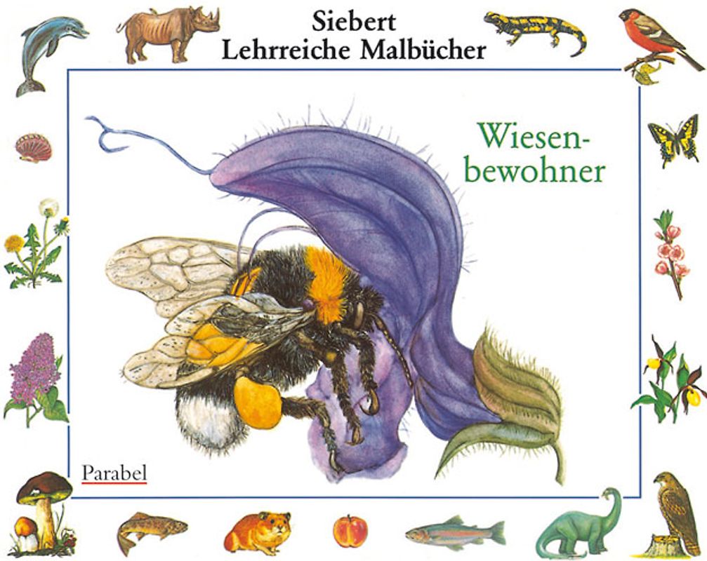 Wiesenbewohner. Malbuch