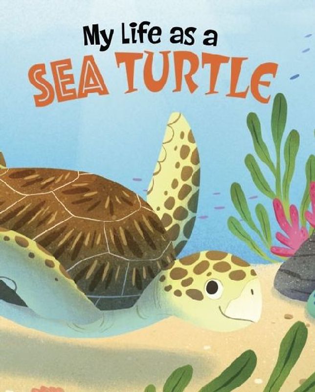 My Life as a Sea Turtle