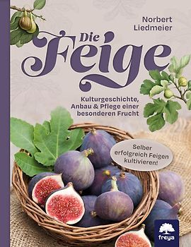 Die Feige