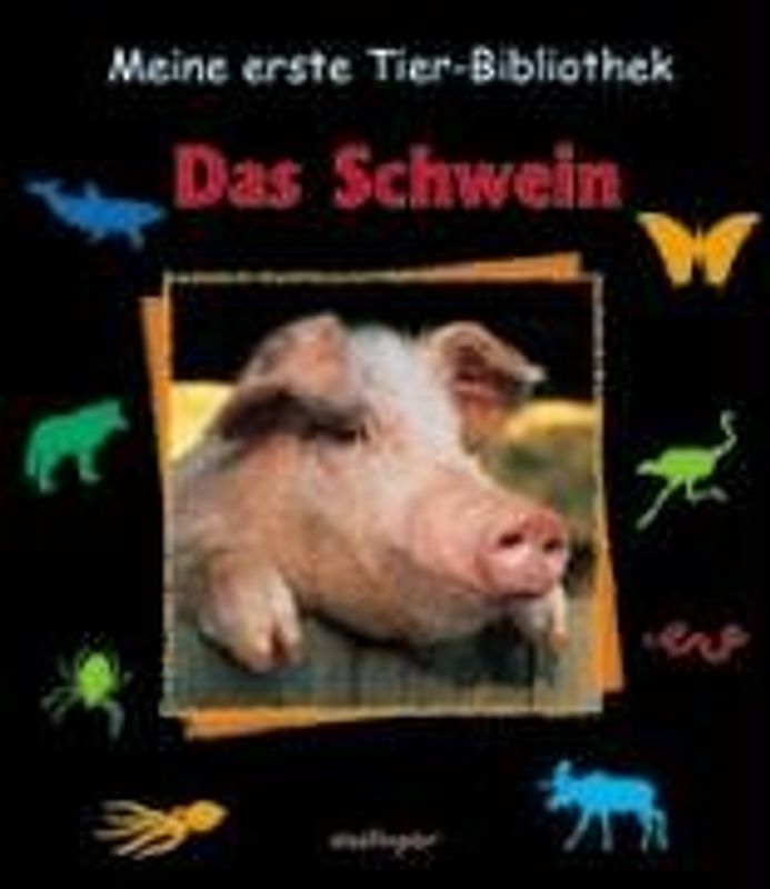 Das Schwein