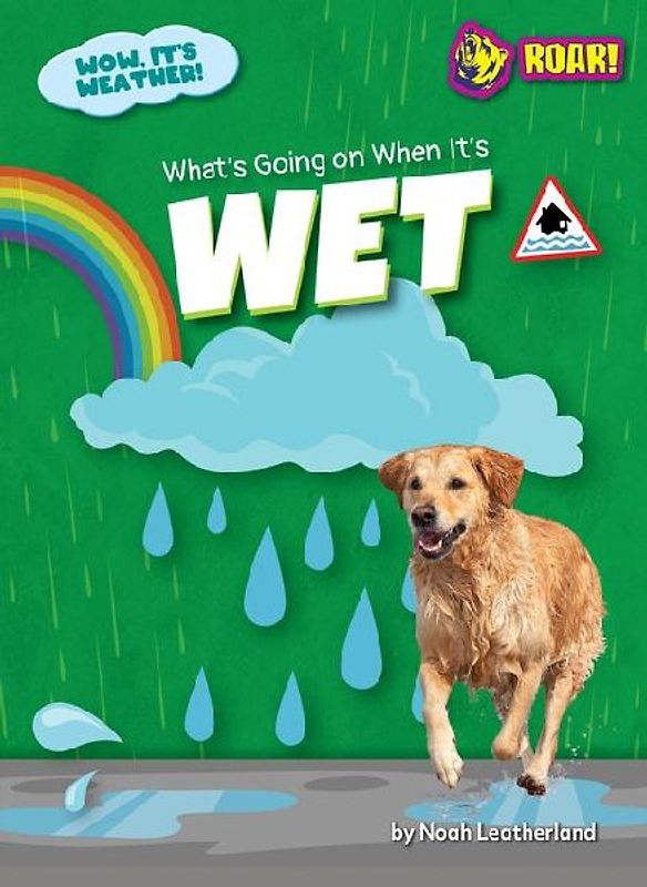 What's Going on When It's Wet