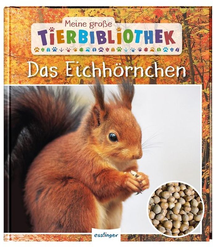 Meine große Tierbibliothek: Das Eichhörnchen