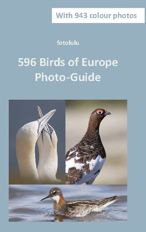 596 Birds of Europe