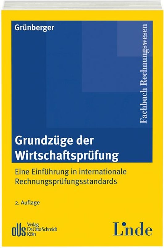 Grundzüge der Wirtschaftsprüfung