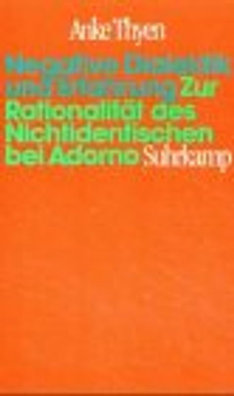 Negative Dialektik und Erfahrung