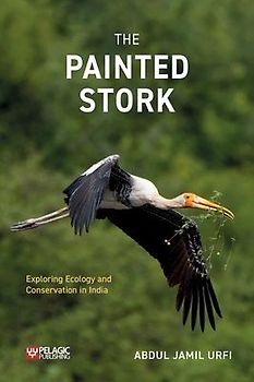 The Painted Stork