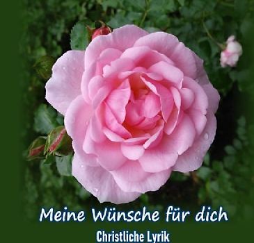 Meine Wünsche für dich