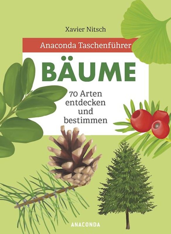 Anaconda Taschenführer Bäume. 70 Arten entdecken und bestimmen -