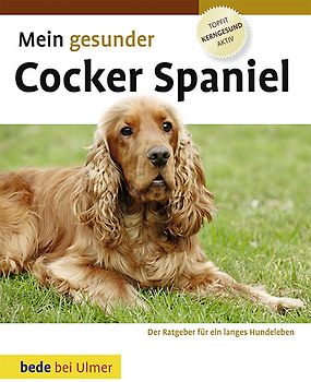 Mein gesunder Cocker Spaniel
