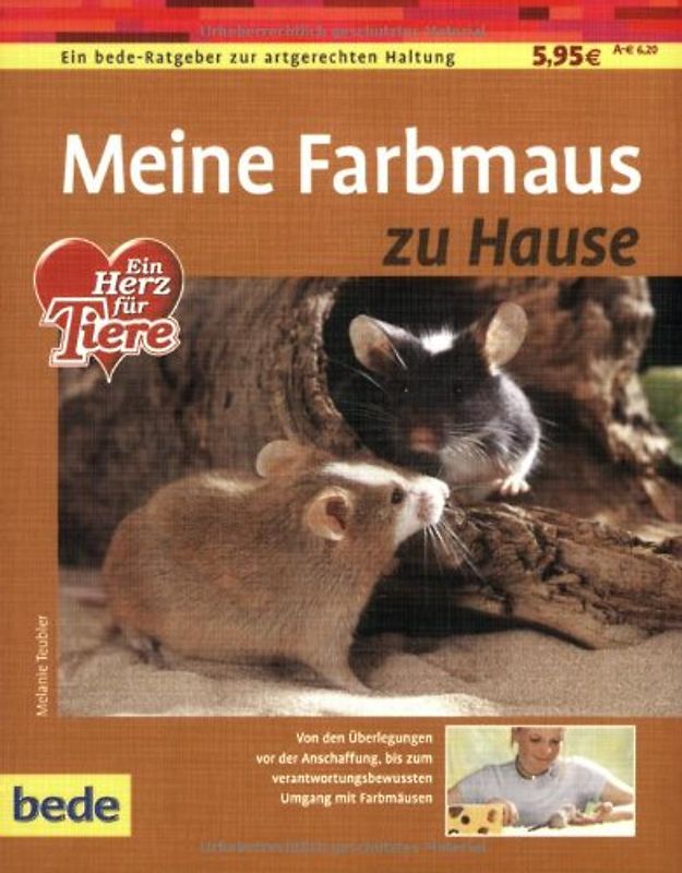 Meine Farbmaus zu Hause