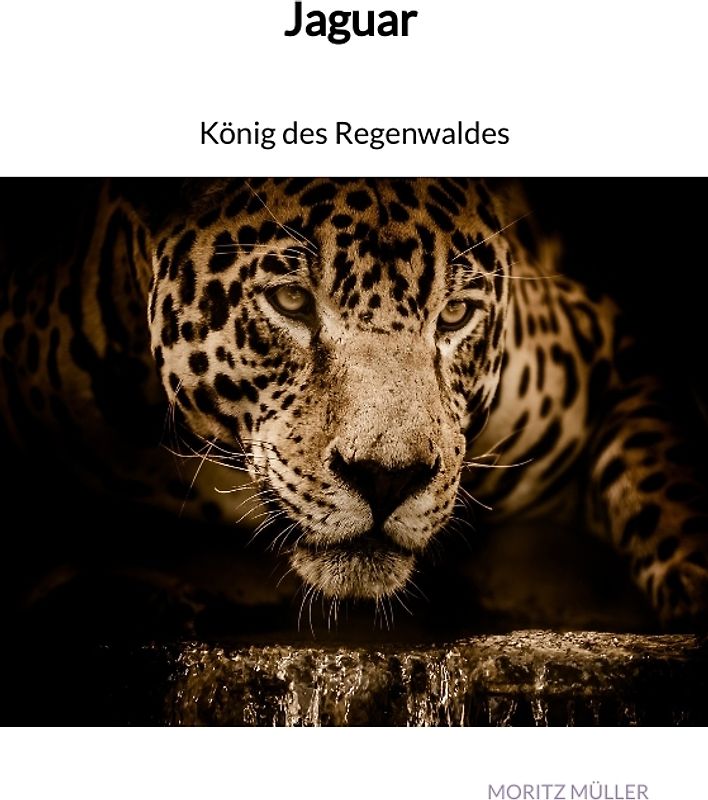 Jaguar - König des Regenwaldes
