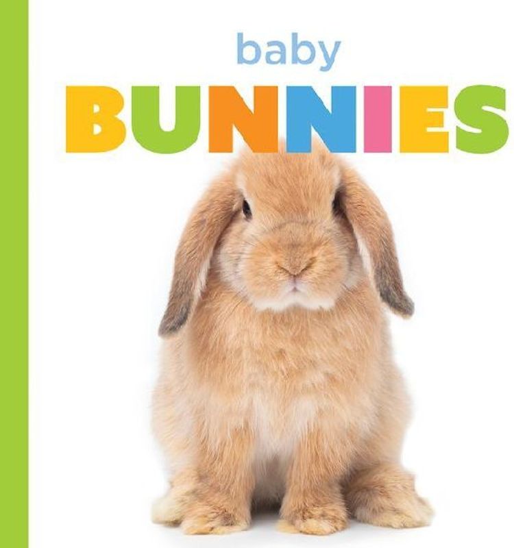 Baby Bunnies