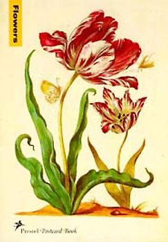 Maria Sibylla Merian - Blumen