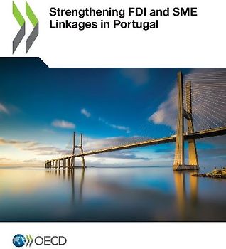 Strengthening FDI and SME Linkages in Portugal