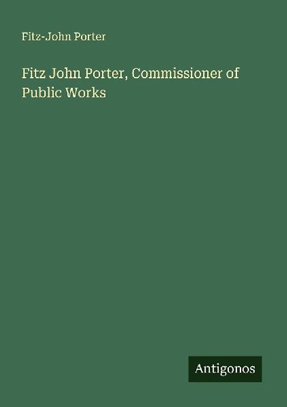 Fitz John Porter, Commissioner of Public Works