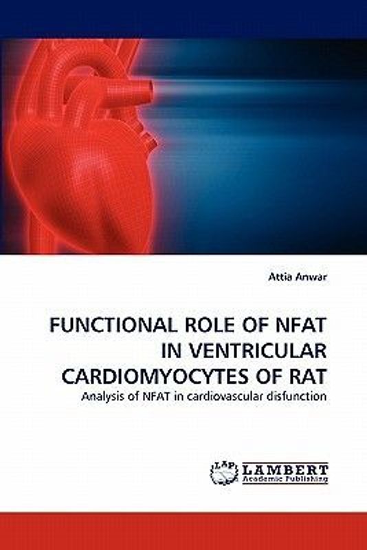 FUNCTIONAL ROLE OF NFAT IN VENTRICULAR CARDIOMYOCYTES OF RAT