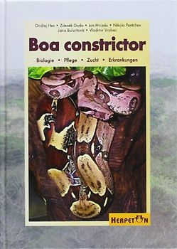 Boa constrictor