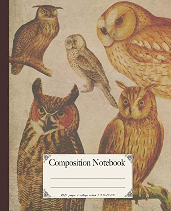 Composition Notebook: College ruled vintage arty owl illustration composition notebook. Perfect gift for bird & nature lovers.