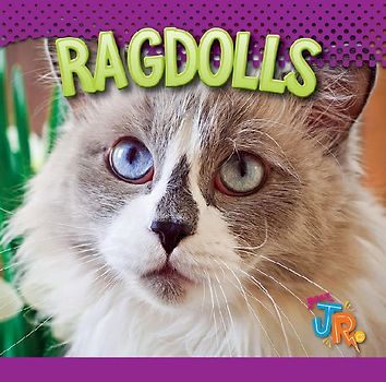 Ragdolls