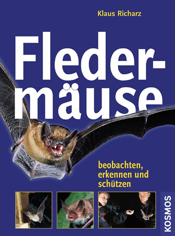 Fledermäuse