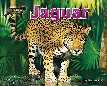 Jaguar