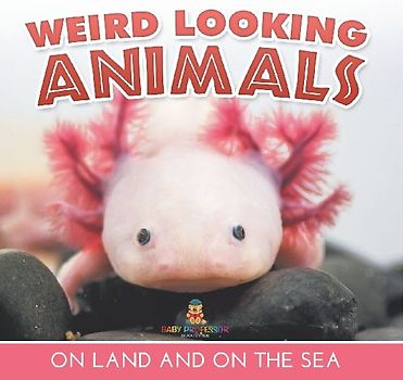 Weird Looking Animals On Land and On The Sea