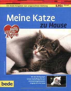 Meine Katze zu Hause