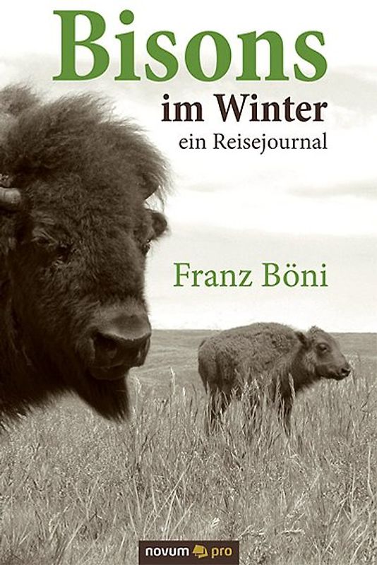 Bisons im Winter