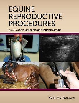 Equine Reproductive Procedures