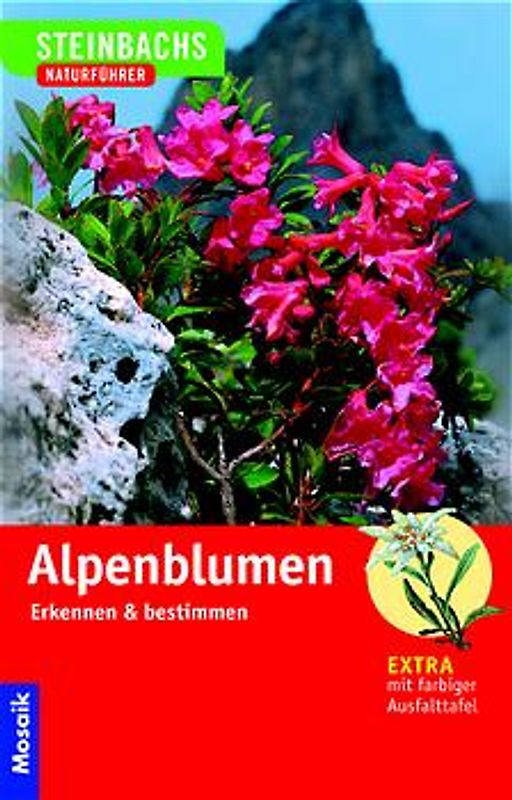Alpenblumen
