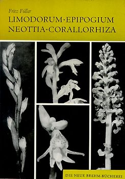 Orchideen Mitteleuropas / Limodorum, Epipogium, Neottia, Corallorhiza