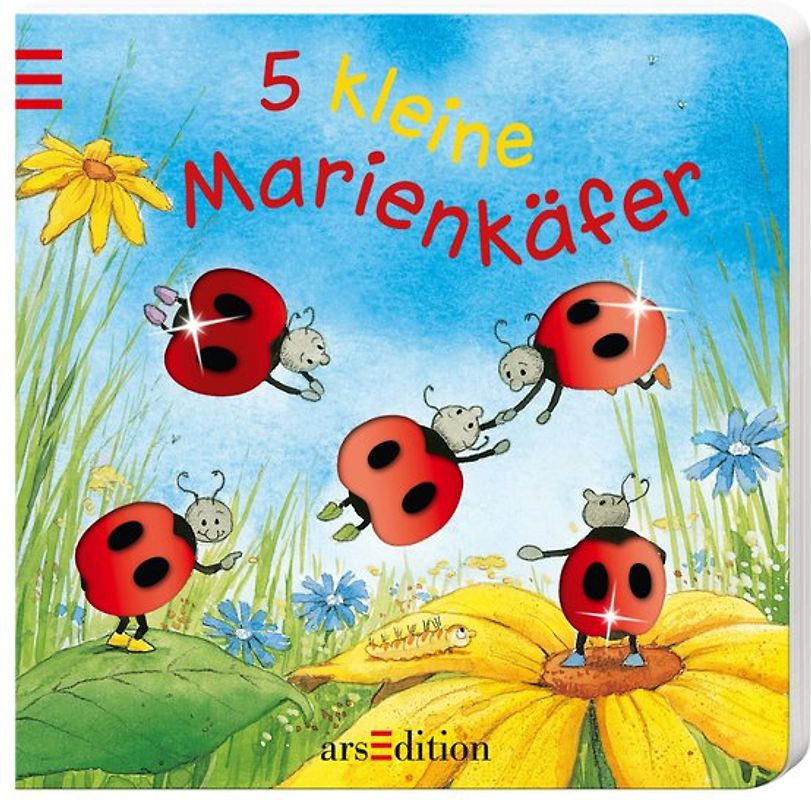 5 kleine Marienkäfer