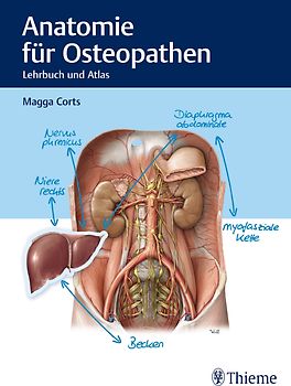 Anatomie für Osteopathen