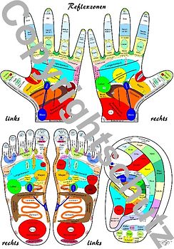 Reflexzonenübersicht - Füße, Hände und Ohr