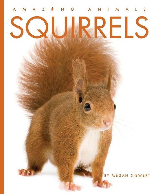 Squirrels