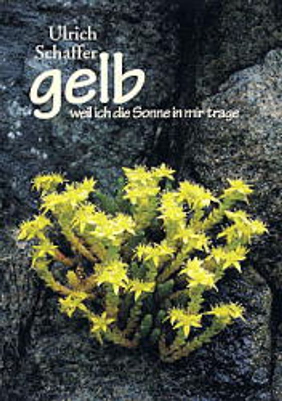 Gelb, weil ich die Sonne in mir trage