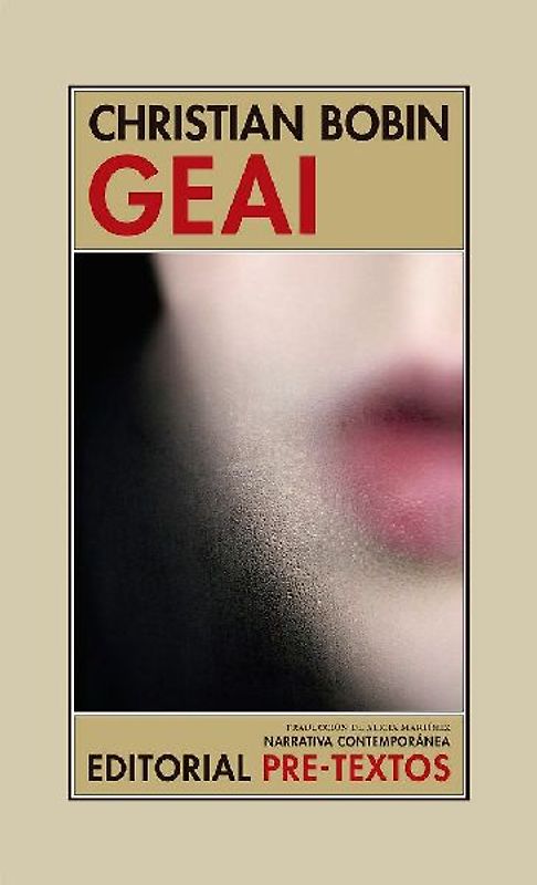 Geai : las aventuras de una sonrisa