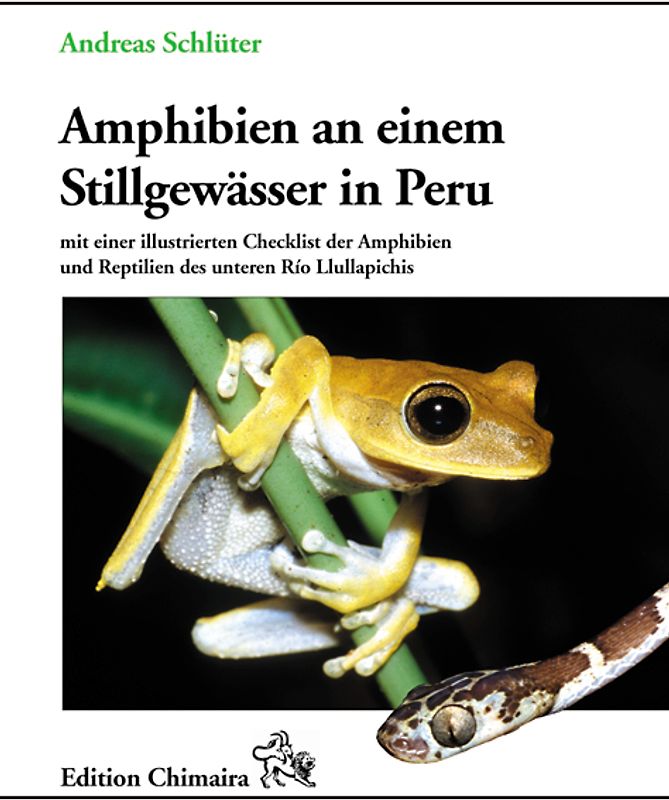 Amphibien an einem Stillgewässer in Peru