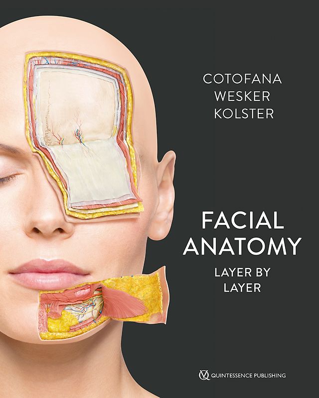 Facial Anatomy