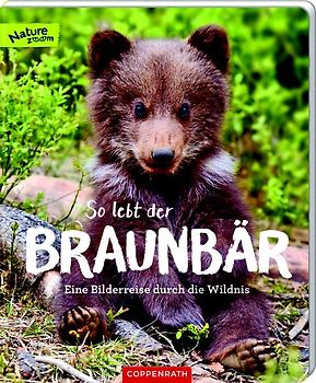So lebt der Braunbär