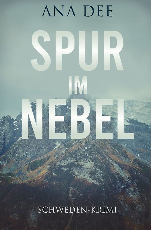 Spur im Nebel