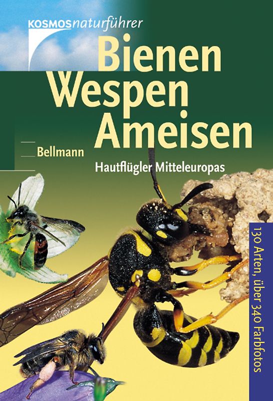 Bienen, Wespen, Ameisen